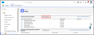 Open Permission Set Assignments